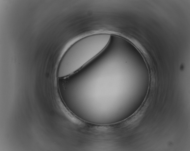 X0000093571246200710151010