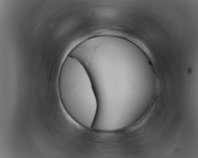 X0000093571247200710151010