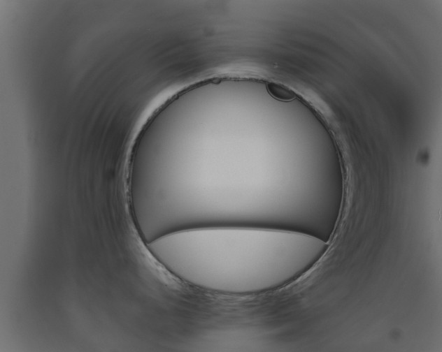 X0000093571248200710151010