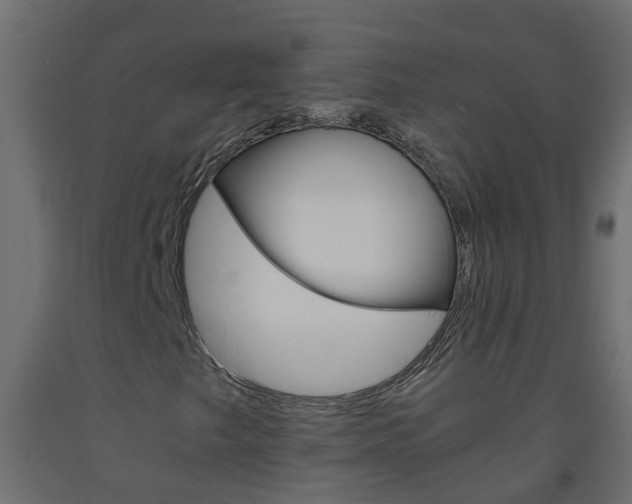 X0000093571249200710151009