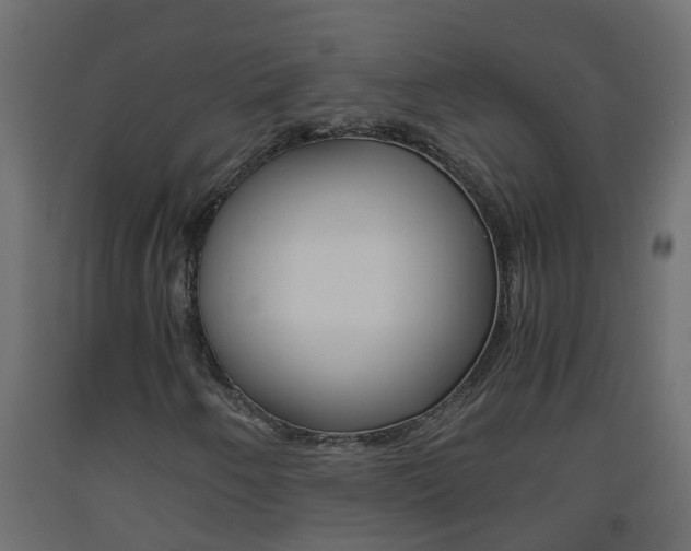 X0000093571250200710151009