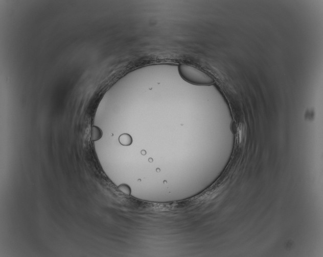 X0000093571251200710151009