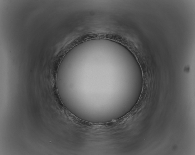 X0000093571253200710151009