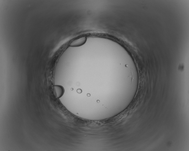 X0000093571255200710151009
