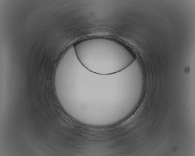 X0000093571257200710151009