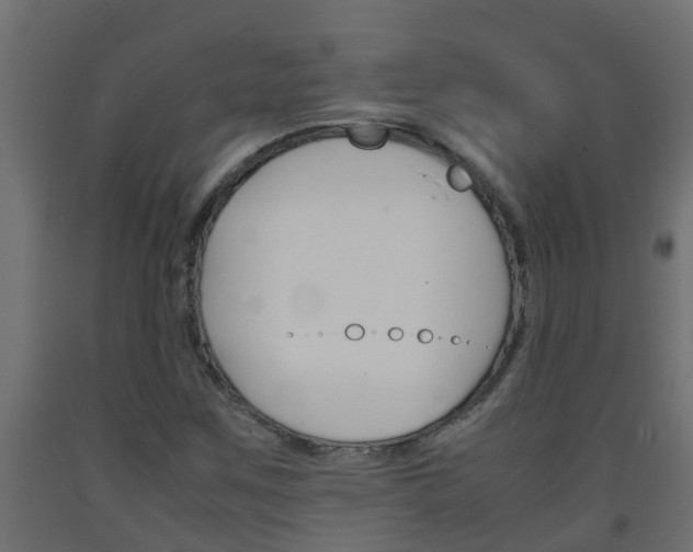 X0000093571259200710151009