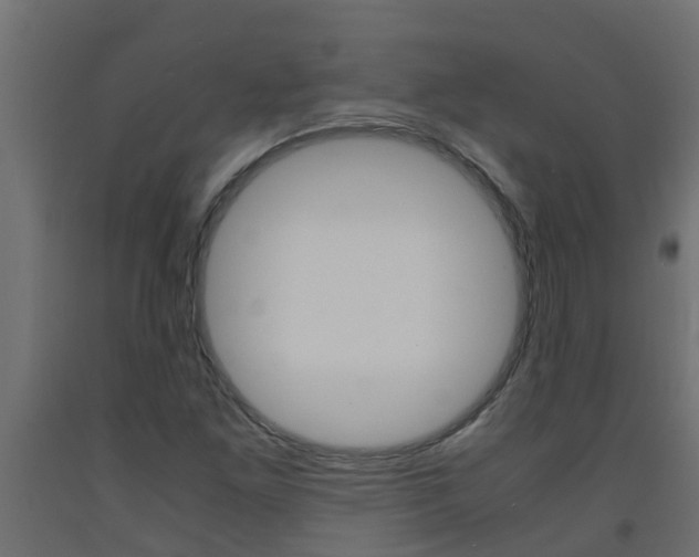 X0000093571261200710151009