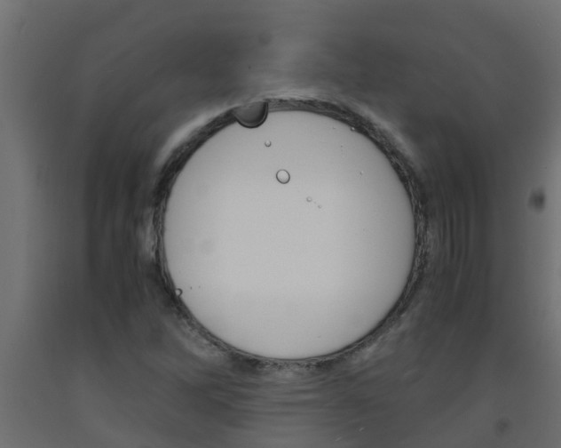 X0000093571262200710151009
