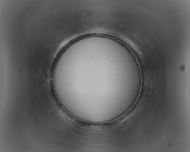 X0000093571264200710151009