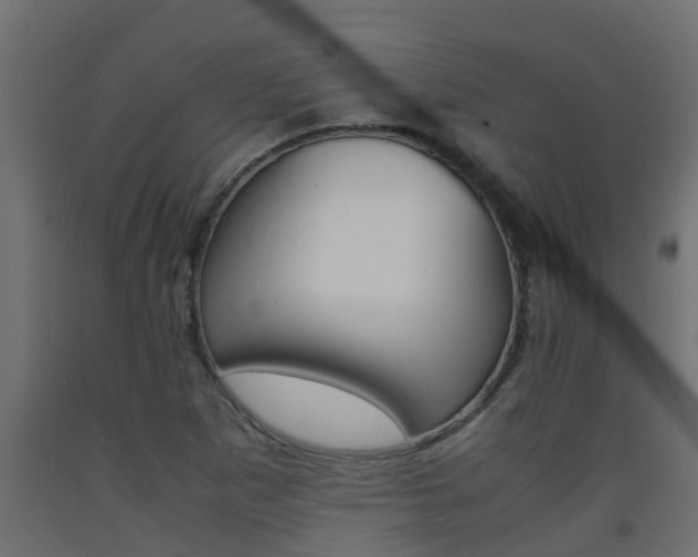 X0000093571265200710151009
