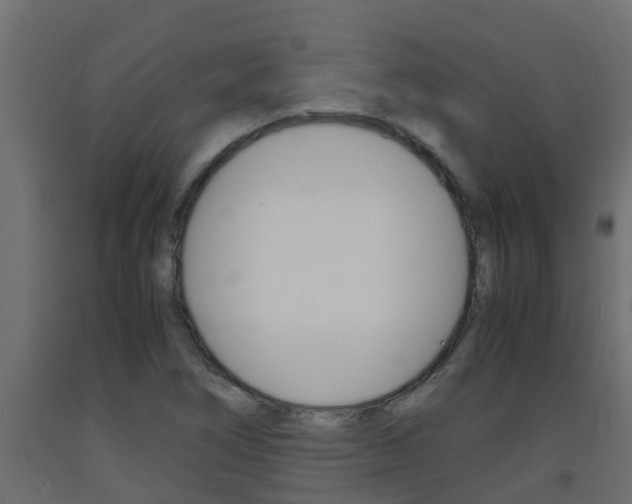 X0000093571266200710151009