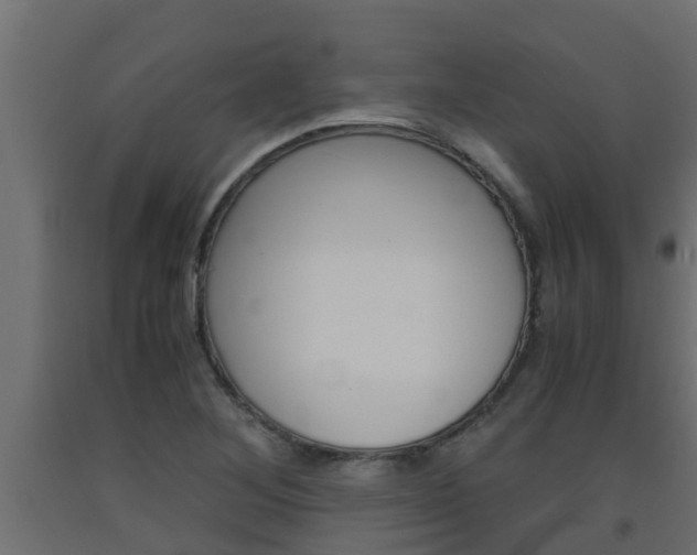 X0000093571268200710151009