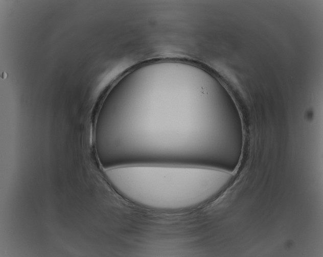 X0000093571269200710151009