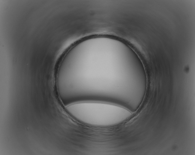 X0000093571270200710151009