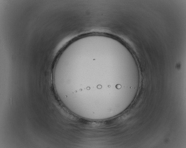 X0000093571271200710151009