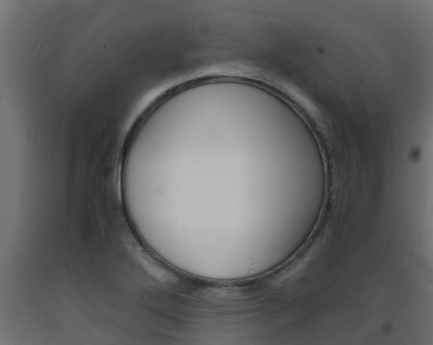 X0000093571272200710151009