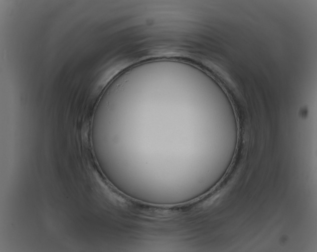 X0000093571273200710151009