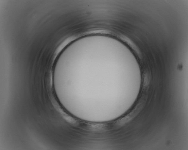 X0000093571274200710151009