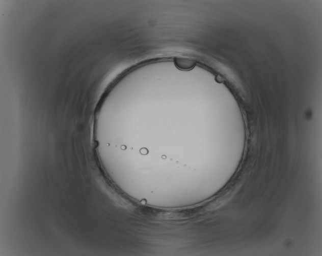 X0000093571275200710151009