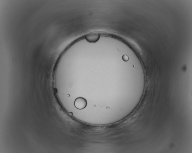 X0000093571279200710151009
