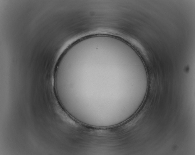 X0000093571280200710151009
