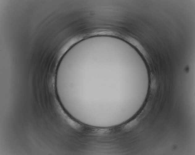 X0000093571282200710151009
