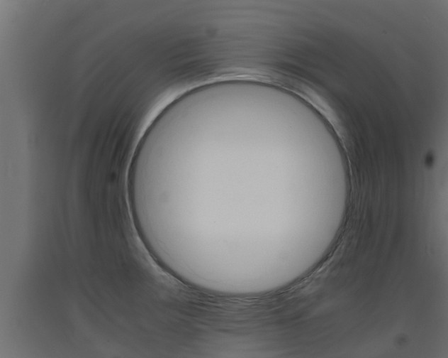 X0000093571283200710151009