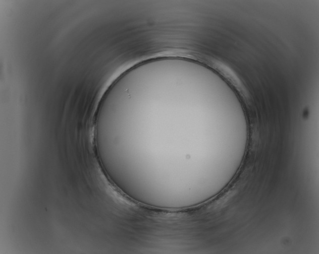 X0000093571284200710151009