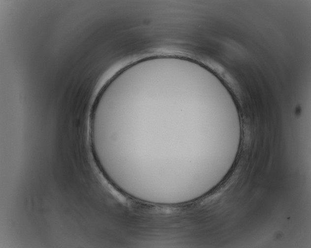 X0000093571286200710151009