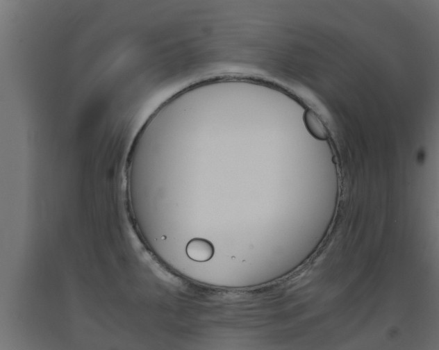 X0000093571287200710151009