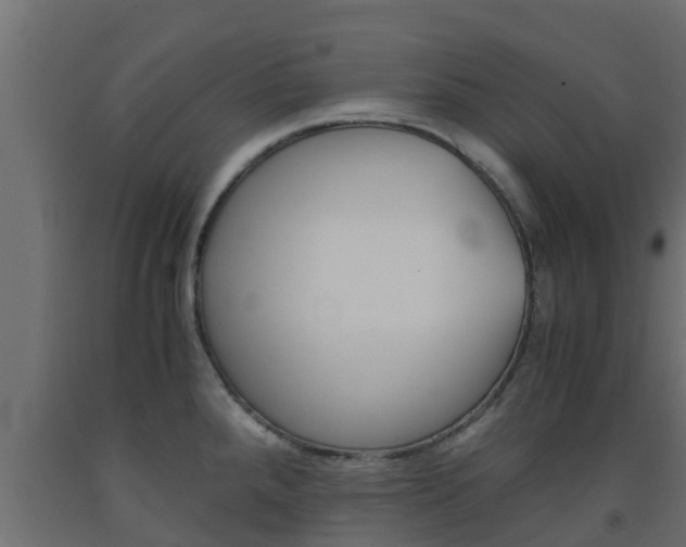 X0000093571288200710151009