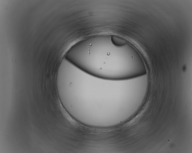 X0000093571289200710151009