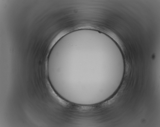 X0000093571290200710151009