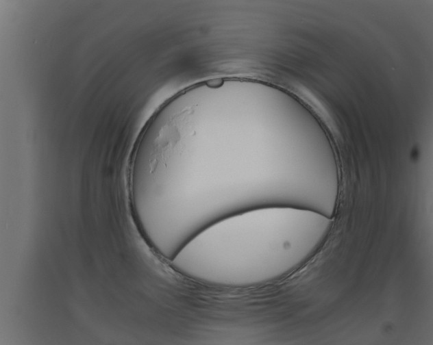 X0000093571291200710151009