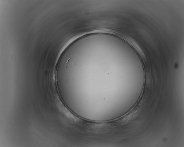 X0000093571292200710151009