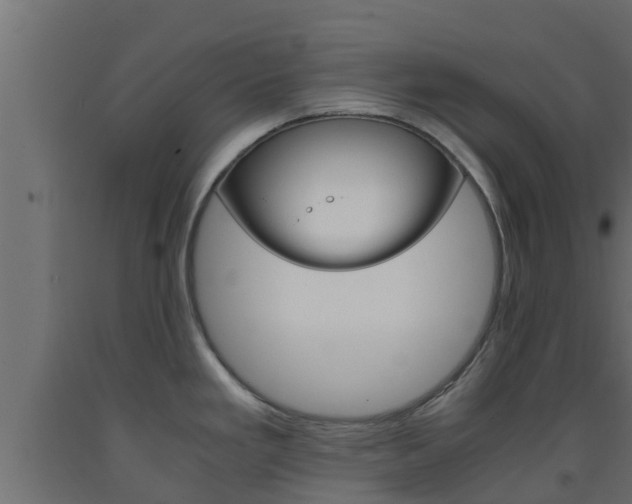 X0000093571293200710151009