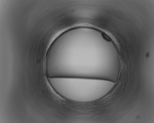 X0000093571295200710151009