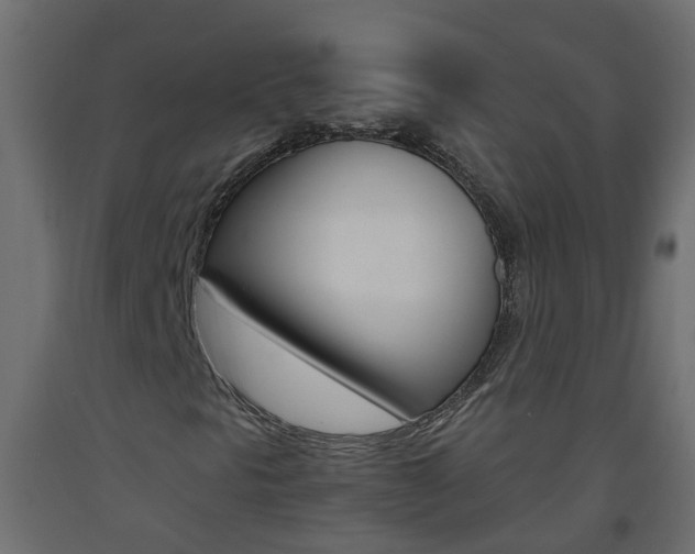 X0000093571297200710151008