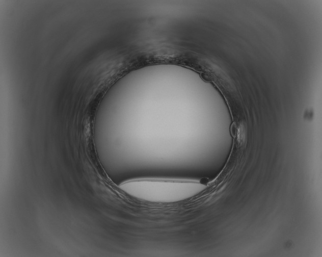 X0000093571299200710151008
