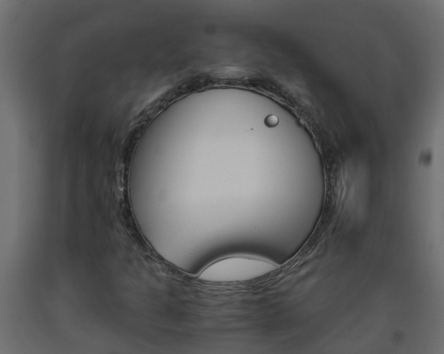 X0000093571301200710151008