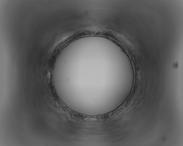 X0000093571302200710151008