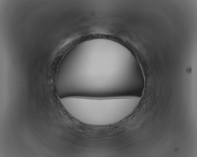 X0000093571303200710151008