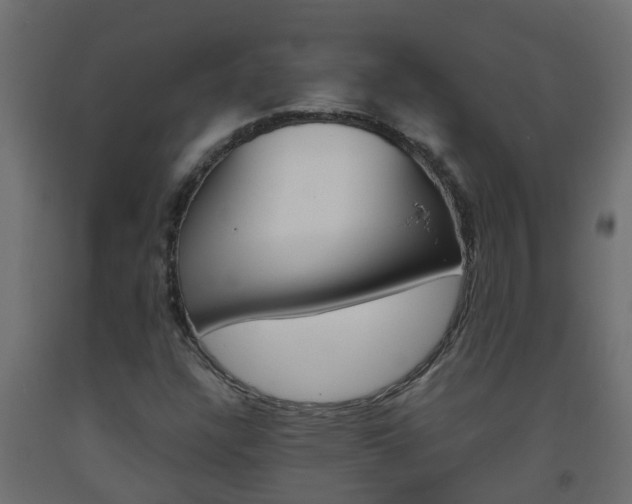 X0000093571304200710151008
