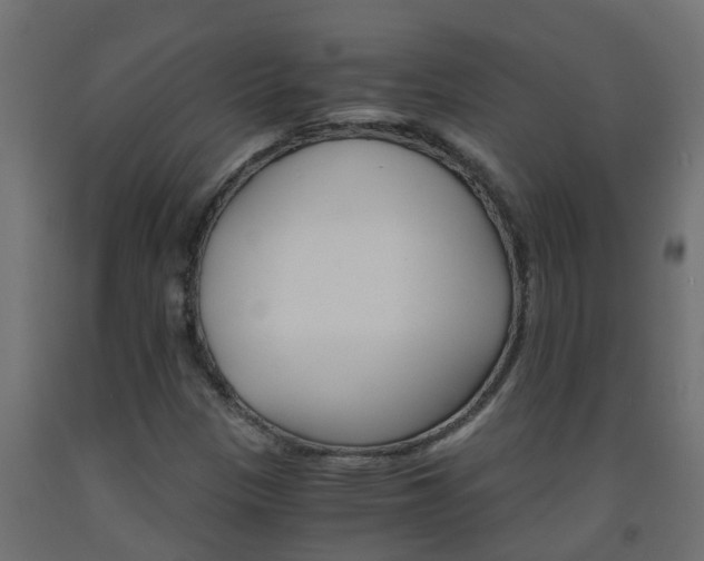 X0000093571305200710151008