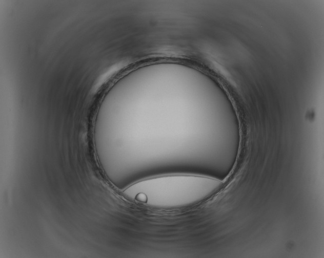 X0000093571307200710151008