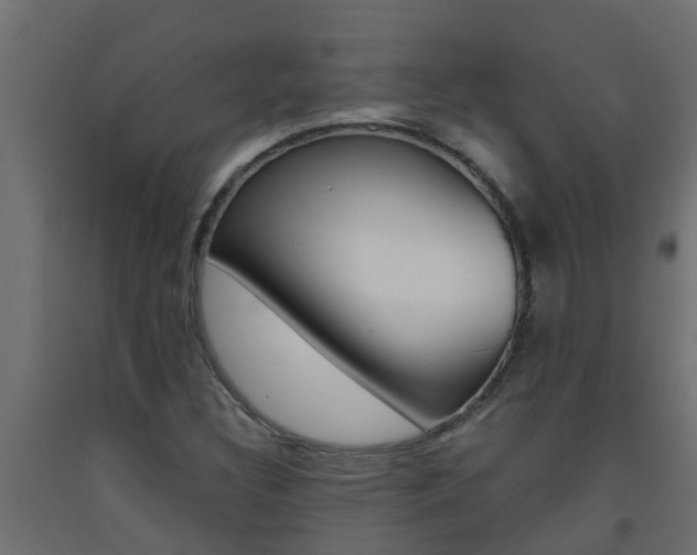X0000093571308200710151008