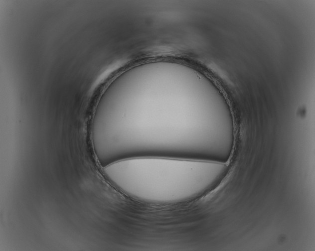 X0000093571309200710151008