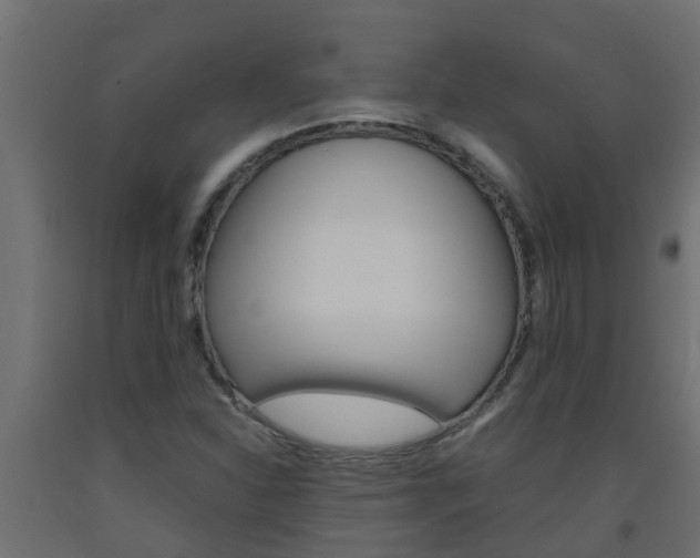 X0000093571310200710151008
