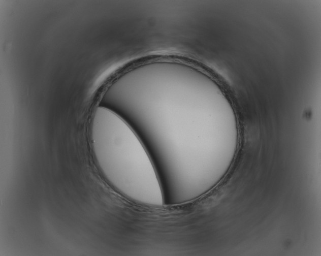 X0000093571311200710151008