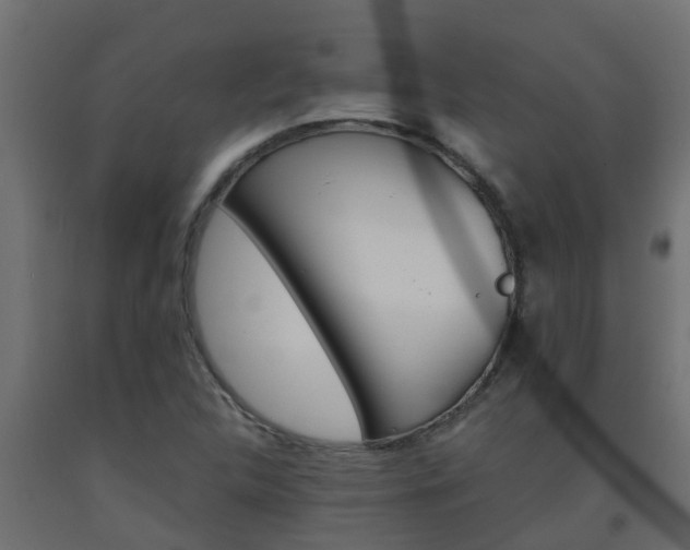 X0000093571312200710151008